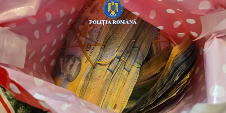 18 percheziții, într-un dosar care vizează afaceri cu lemn. Au fost confiscate și ridicate sume de bani în valoare de aproximativ 130.000 de euro și aproape 300 de metri cubi de material lemnos