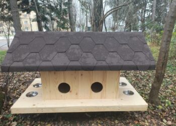 Adăposturile pentru pisici ”plantate” în Suceava, chiar o idee foarte bună