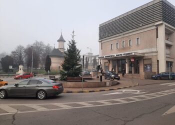 Sculpturile care ar trebui să părăsească Suceava