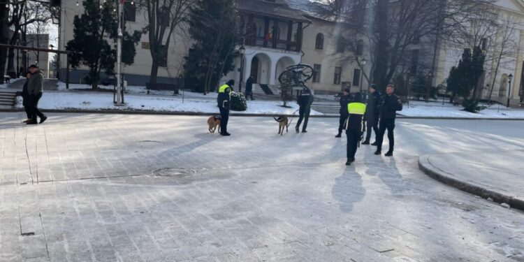 Razii ale polițiștilor în apropierea unor colegii sucevene. Au fost identificați 27 de elevi care lipseau de la ore