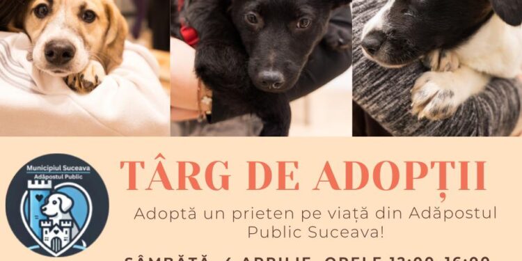 Tîrg de adopții de căței, organizat pe 4 aprilie la Shopping City Suceava (Foto)
