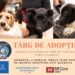 Tîrg de adopții de căței, organizat pe 4 aprilie la Shopping City Suceava (Foto)