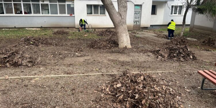 Primăria Suceava, iarba, copacii, băncile și arhitectul uitat