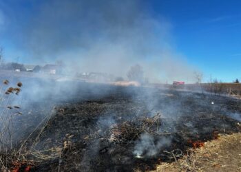 Ora 13.51, județul Suceava. 30 de pompieri în acțiune la nu mai puțin de 6 incendii de vegetație uscată!