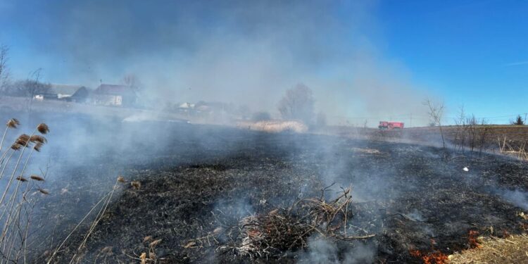 Ora 13.51, județul Suceava. 30 de pompieri în acțiune la nu mai puțin de 6 incendii de vegetație uscată!