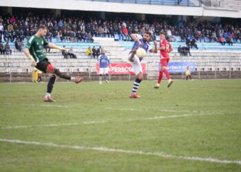 Suceveni contra suceveni