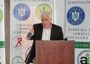 În 2025, în județul Suceava s-a făcut ITP la 200.000 de vehicule