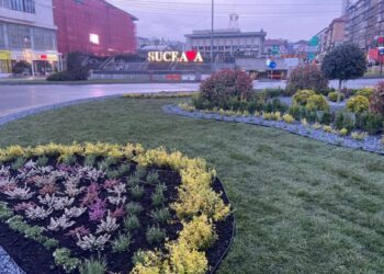 Primăria Suceava dă startul plantărilor: peste 21.000 de flori vor transforma orașul în următoarele zile