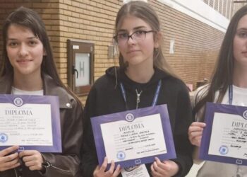 Elevii suceveni au cîștigat trei mențiuni la Olimpiada de Educație tehnologică și aplicații practice