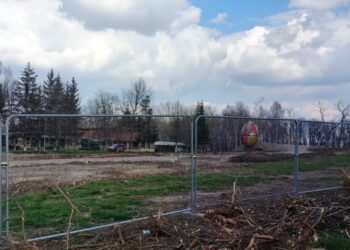 Oul uriaș de pe platoul Cetății de Scaun a Sucevei nu va rămîne acolo după ce se va termina de amenajat parcarea cu 133 de locuri