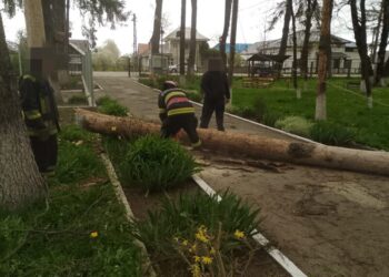 Pompierii suceveni, puși la treabă de vîntul care a bătut cu tărie. Au fost semnalate peste 20 de situații de urgență în mai multe localități ale județului