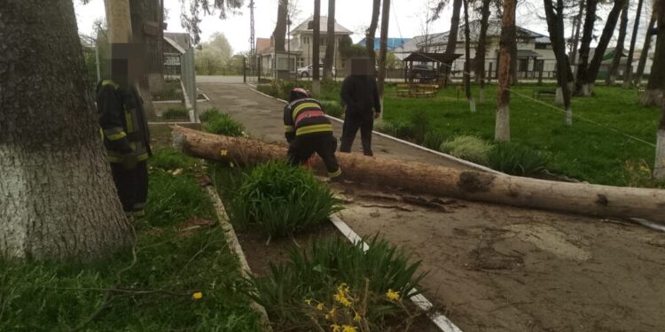 Pompierii suceveni, puși la treabă de vîntul care a bătut cu tărie. Au fost semnalate peste 20 de situații de urgență în mai multe localități ale județului