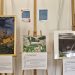 Expoziție de artă NEOLAiA, la USV. Expoziția este deschisă pînă pe 29 mai