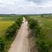 A fost semnat contractul pentru modernizarea drumului Hănțești – Berești – Șerbănești. Constructorul are la dispoziție 24 de luni pentru finalizarea lucrărilor