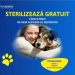 Primăria Suceava a început campania gratuită de sterilizare a cîinilor și pisicilor de rasă comună. Vor avea loc și controale în teren