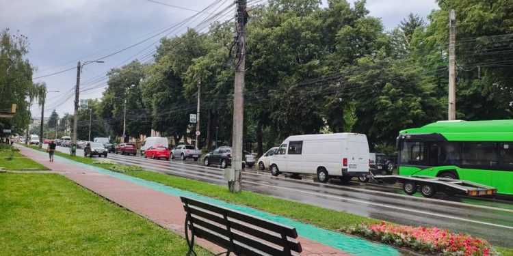 Consilierul Anghelea, nemulțumit că au cam dispărut gardurile vii din Suceava: ”Vedem în ziua de astăzi că se încearcă ceva, dar stăm mai rău la spațiile verzi ca în anii `90”