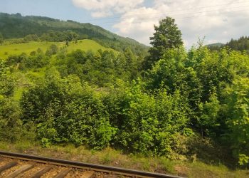 Un tînăr de 29 de ani, internat la Psihiatrie, după ce ar fi pus în pericol circulația feroviară pe tronsonul Soloneț-Pîrteștii de Jos