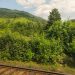 Un tînăr de 29 de ani, internat la Psihiatrie, după ce ar fi pus în pericol circulația feroviară pe tronsonul Soloneț-Pîrteștii de Jos