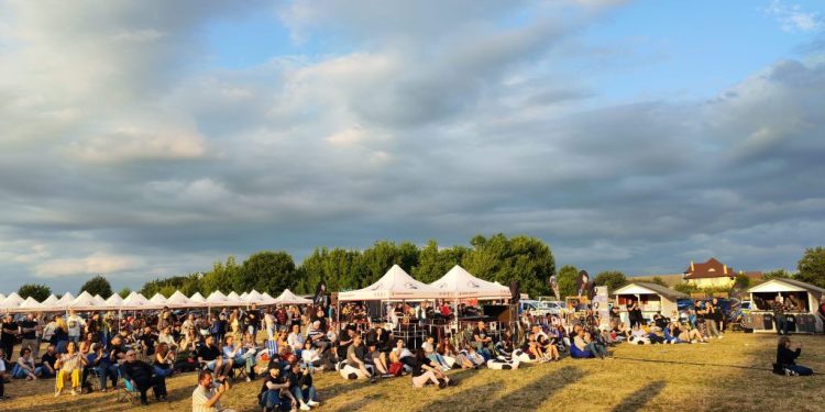 Suceava Blues Festival, platformă pentru socializare