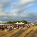 Suceava Blues Festival, platformă pentru socializare