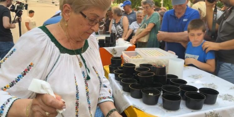 1.500 de ciorbe rădăuțene, oferite gratuit de Ziua Ciorbei Rădăuțene. Cîteva porții au fost oferite de inventatoarea preparatului, Cornelia Dumitrescu (Foto)