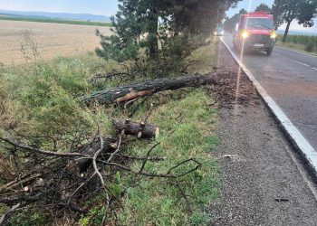 Pompierii suceveni au îndepărtat arborii doborîți de furtună
