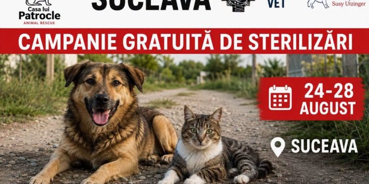 Casa lui Patrocle anunță o nouă campanie de sterilizare gratuită la Suceava, între 24 și 28 august. Sînt vizați cîinii și pisicile