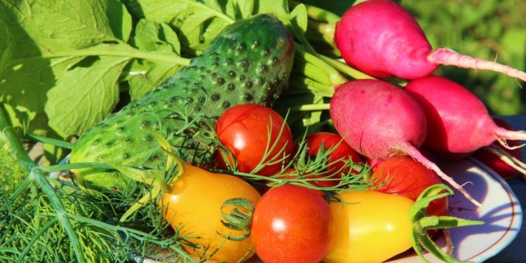 Daniela Bălănucă, dietetician: Pe caniculă, jumătate din farfurie ar trebui să fie ocupată de legume