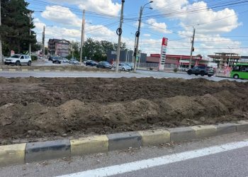Aranjament peisagistic, în intersecția Calea Unirii cu strada Traian Vuia