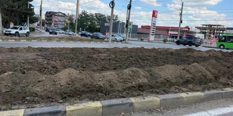 Aranjament peisagistic, în intersecția Calea Unirii cu strada Traian Vuia