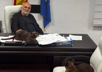 ”Nu vreau frică pe stradă!”. Primarul Sucevei, Vasile Rîmbu, anunță sterilizări gratuite și toleranță zero față de abandonul cîinilor