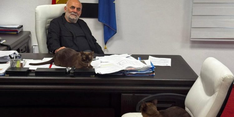 ”Nu vreau frică pe stradă!”. Primarul Sucevei, Vasile Rîmbu, anunță sterilizări gratuite și toleranță zero față de abandonul cîinilor