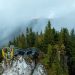 Aplicație bilingvă, româno-engleză, dedicată zonei din jurul Skywalk-ului de pe Rarău