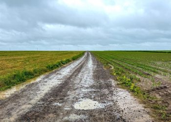 Drumul spre Stamate intră în modernizare. Se caută constructor pentru 3,1 kilometri