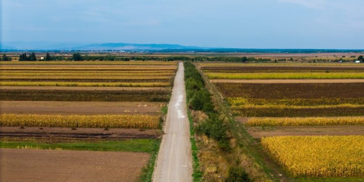 Lucrări în continuarea celor de modernizare a drumului de la Fîntîna Mare, pentru legătura cu Baia și municipiul Fălticeni