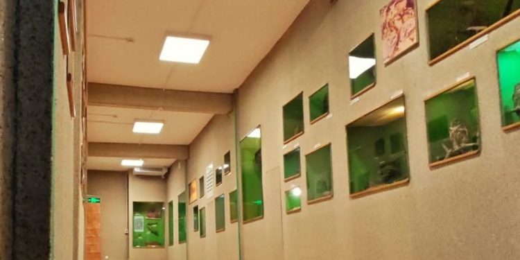 Muzeul de Științe ale Naturii și Cinegetică Vatra Dornei, reabilitat și redeschis