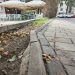 Municipiul Suceava. Păcat de fructele care zac pe jos călcate în picioare