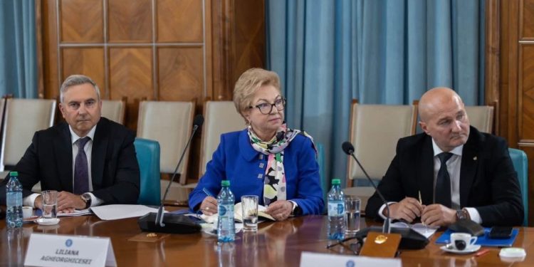 Liliana Agheorghicesei, la Palatul Victoria, la o întîlnire cu premierul și cu alți reprezentanți ai Guvernului