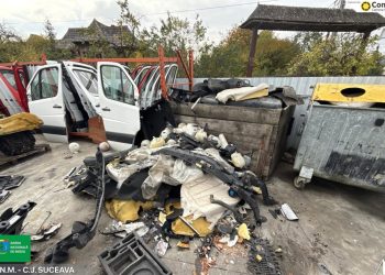5 amenzi și activitatea unei firme suspendată, după controale la centre de de dezmembrări auto