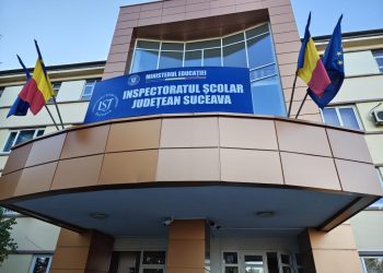 Cei mai mulți directori de școli din județul Suceava sînt învățători. Urmează profesorii de istorie, profesorii de sport, cei de limba română și cei de matematică