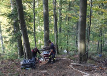 Incendiul de la Marginea, greu de stins din cauza turbei și a terenului dificil. Alin Găleată, purtătorul de cuvînt al ISU Suceava: ”Stai în patru labe ca să mergi. (…) Turba arunca din nou jăratec și se reaprindea în spatele nostru”