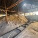 Trei persoane din Suceava au fost amendate cu cîte 10.000 de lei pentru tăierea și rindeluirea ilegală a lemnului